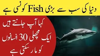 interesting facts about fish in Urdu | Random facts about fish | Random facts
