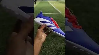 Zapatillas de F&uacute;tbol Adidas Predator Essentials TF #adidas #f&uacute;tbol #shorts