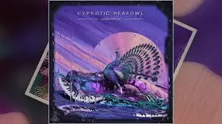 Hypnotic Peafowl : La Vie