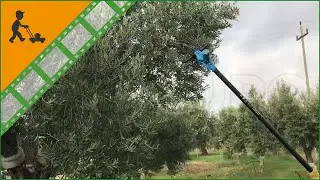 Funktionsvideo Akku-Olivenr&uuml;ttler Aima Twigo 12V - mit Aluminiumschaft