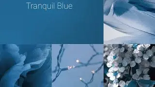 Color Trends 2023 | Tranquil Blue Color Palette |