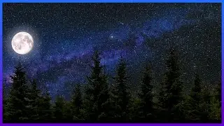 Summer Night Sounds 30 Minutes | Relax & Sleep