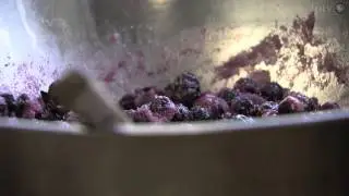 All About Pies | Iowa Ingredient