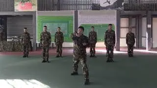 The first decade-old teaching video of the first style of the frame swing and charm is mad