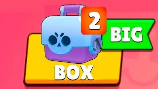 BIG BOX in a nutshell 2! 🥑