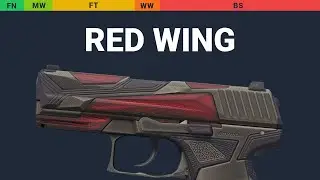 P2000 Red Wing - Skin Float And Wear Preview