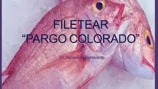 Filetear Pargo Colorado