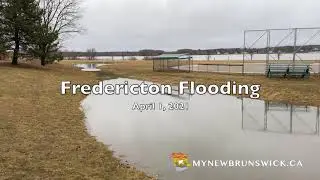 Fredericton Flooding Update
