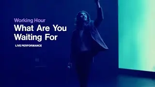 Working Hour - What Are You Waiting For (Live Performance)