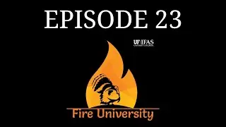 The Landowner&rsquo;s Role Managing for Wild Turkey | Ep 23