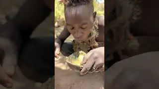 Wild Dining: Hadzabe&rsquo;s Epic Bush Food Journey