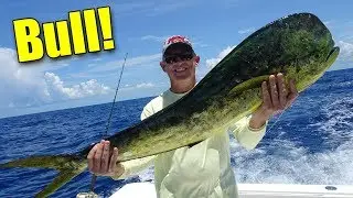 Family Fishing in Marathon | We Slayed The Mahi Plus 1 Big Bull!!!