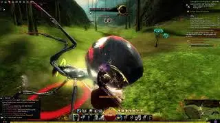 Guild Wars 2 | Champion Toxic Spider Queen | Engineer | Solo