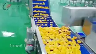 Yellow peach canned production line