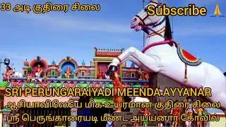 ஸ்ரீ பெருங்காரையடி மீண்ட  அய்யனார் கோவில்| SRI PERUNGARAIYADI MEENDA AYYANAR| ஆலயம் செல்வோம் நாம்