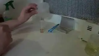 orchid seed tissue culture