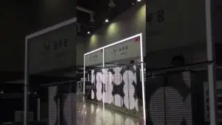 Transparent LED solution(size : 2.0m * 4.0 m)