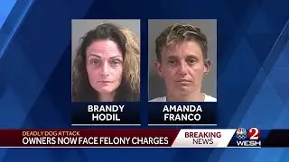 Florida dog owners face felony charges after pet killed 8-year-old boy