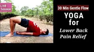 Day-4  Yoga for Lower Back Pain Relief (Gentle Stretches for Beginners)