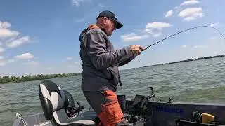Snoek Hollands diep