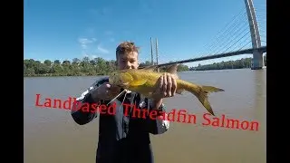 Landbased Threadfin Salmon Fishing (Brisbane) | EP10 |TFF