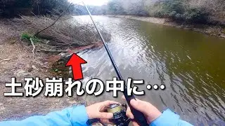 【タトゥーラXT】低価格で買えるロッドで早速バス狙ってきたら