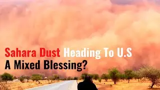 Massive Sahara Dust Cloud Blowing Towards USA and It's a Mixed Blessing?  | Dust Storm 2020
