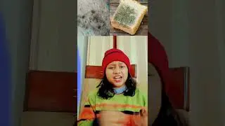 why our chapati or bread get fungus #fact