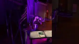 #comewithus #thehenryfordmuseum #thingstodoinmichigan #visitmichigan #momlife