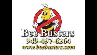 Bee Busters, Inc. Commercial 1| (949) 497-6264