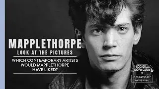 Mapplethorpe 03: Contemporary Artists
