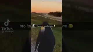 *sad penguin noise*