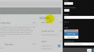 how to hide certain containers in vpcart 9