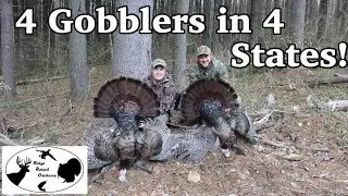 Spring Gobbler Turkey Hunting! - Ridge Raised Outdoors