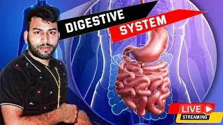 Digestive system | The digestive process | Digestion |Gastrointestinal (GI) Tract | Accessory Organs
