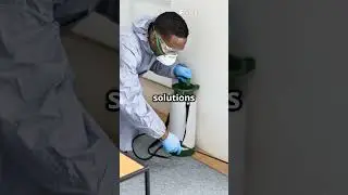 Residential Pest Control in Anderson, IN - 24/7 Emergency Exterminator Services