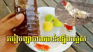 របៀបព្យាបាលមាន់ឡើងស្លេសដោយប្រើទឹកឃ្មុំនិងក្រូចឆ្មារ