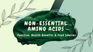 Non Essential Amino Acid Name, Structure, Function, Health Benefits and Food Sources
