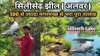 Siliserh Lake Alwar Rajasthan | Boating, Crocodile and Siliserh Lake Palace#siliserhlake #alwar