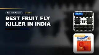 Best Fruit Fly Killer in India | Fruit fly