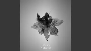 Violaceae (Single Edit)