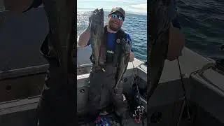 Черная треска (угольная треска) на большой глубине! #juneau #alaska #fishing #seafood #alaskafish...