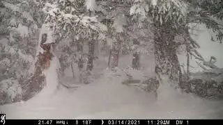 Early Spring on the Front Range
