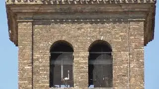 Le campane di Casalromano (MN)