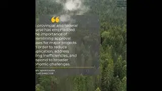 Streamlining Permits: What It Means for Goldshore&rsquo;s Moss Gold Project
