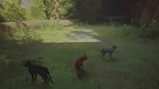 Stray: DEDICATED MEOW BUTTON! (4K)