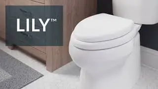 Bemis Lily Soft Seat with Stay&middot;Tite, Easy&middot;Clean + Antimicrobial