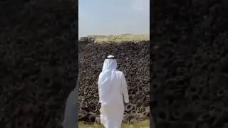 ये है दुनिया का largest tires graveyard |kuwait tire fire #shorts #ytshorts