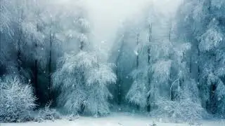 Contemplative Piano (Ambient, Soundscape, Cinematic Background Music For Video Royalty-free Audio)