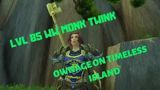 LEVEL 85 WINDWALKER MONK TWINK WORLDPVP PANDAWOW 5.4.8